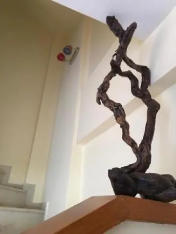 Modern House Guest House Afytos Greece